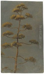 Un Aloes En Fleurs A Rome by Simon-Joseph-Alexandre Clement Denis