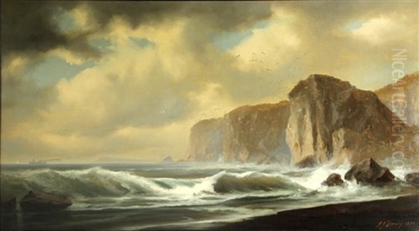 Coastal Cliffs - view 1