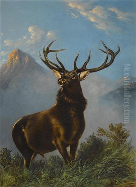 Royal Elk - view 1