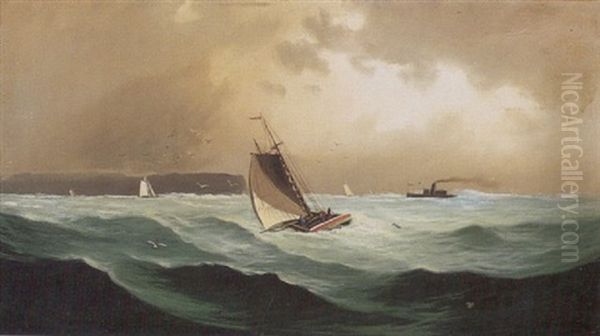 Pacific Coast Near Avilla - view 1