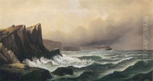 The Farallone Islands, Pacific Ocean