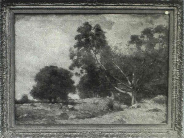 The Broken Tree - view 1