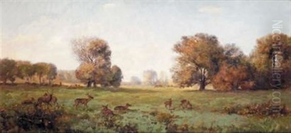 La Horde De Cerfs - view 1