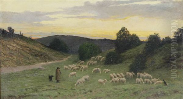 Schafer Mit Seiner Herde Bei Sonnenuntergang - view 1
