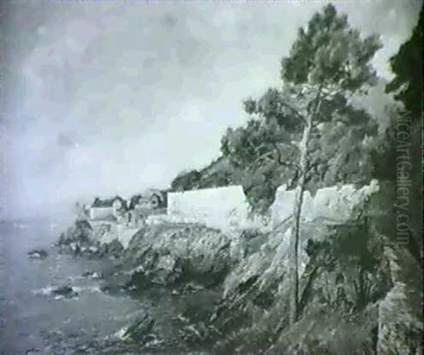 Tiburon - view 1
