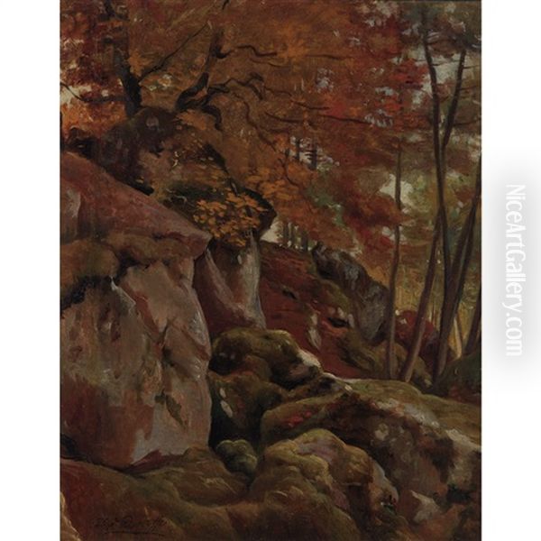 Foret De Fontainebleau - view 1