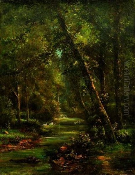 Sous-bois - view 1