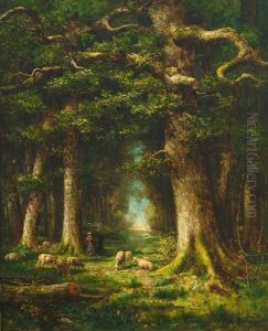 Prachtvolle Waldlandschaft Mit Weidenden Schafen Prachtvolle Waldlandschaft Mit Weidenden Schafen