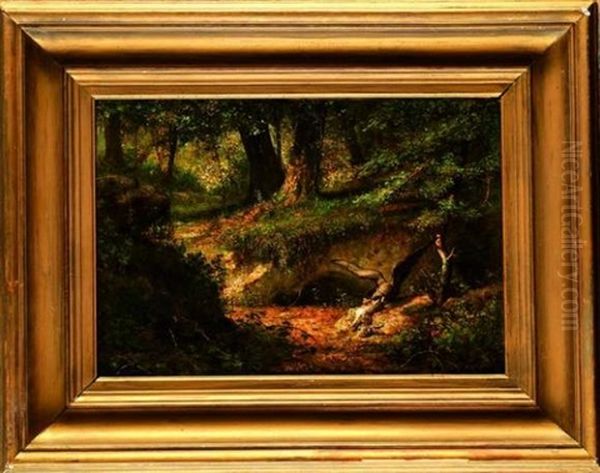 Buse Et Lapin En Sous Bois - view 1