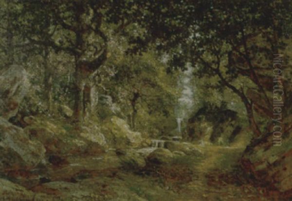 Paesaggio Boschivo Con Torrente - view 1
