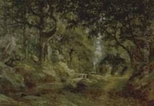 Paesaggio Boschivo Con Torrente Paesaggio Boschivo Con Torrente