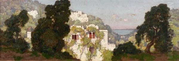 Jardins D'une Villa Mauresque (alger?) - view 1