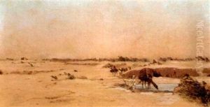 La Halte A L'oasis