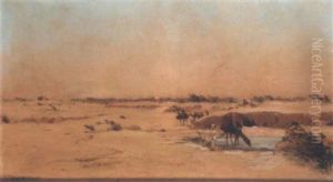 La Halte A L'oasis