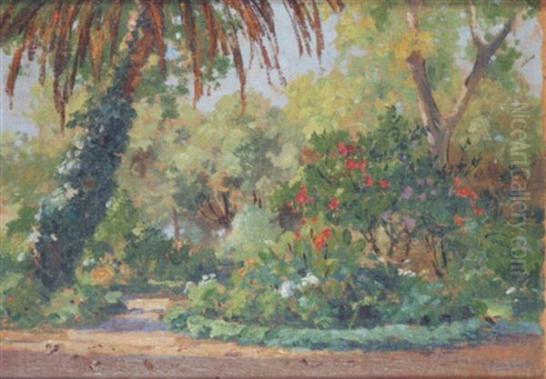 Le Jardin D'essai A Alger - view 1