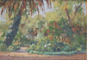 Le Jardin D'essai A Alger