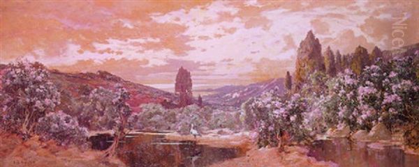 Sud Algerien En Fleurs - view 1