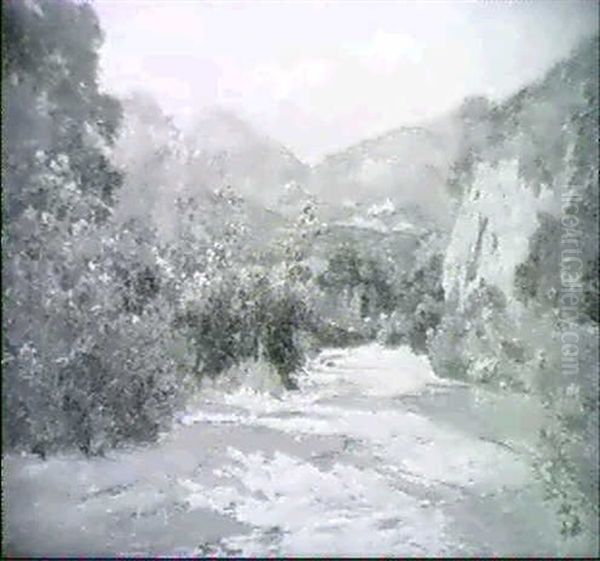 Gebirgslandschaft Mit Bluhenden Oleanderstrauchern Vorn - view 1
