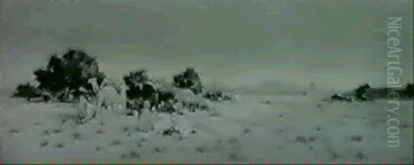 Caravane - view 1