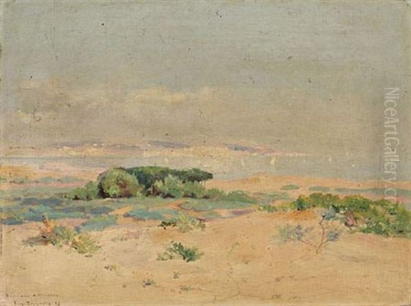 Baie D'afrique Du Nord - view 1