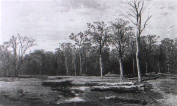 Der Wald Von Fontainebleau - view 1