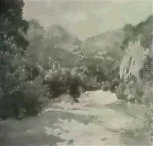 Paysage Dans Les Montagnes - view 1