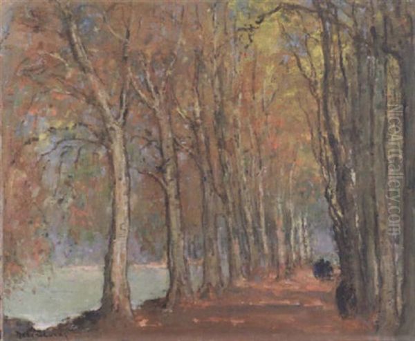 L'automne A Espalion (aveyron) - view 1
