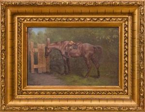 The Doctor's Horse