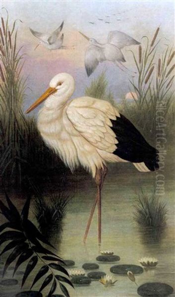 Crane In Marsh - view 1
