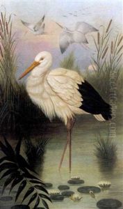 Crane In Marsh by Joseph Desport