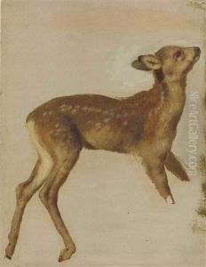 Study Of A Fawn by Alexandre-Francois Desportes