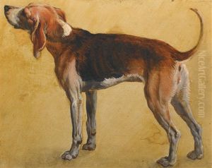 Study Of Rougeaude, A Beagle Belonging To Louix Xiv by Alexandre-Francois Desportes