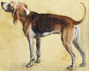 Rougeaude, Chienne De La Meute De Louis Xiv by Alexandre-Francois Desportes
