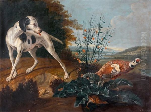 Chien En Arret Devant Une Poule Faisane - view 1