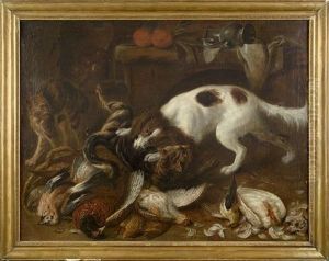 Le Combat Du Chien Et Du Chat
