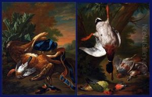 Still Life Studies (pair)
