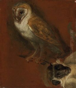 An Owl, With A Fragmentary Study Of A Monkey (study) by Alexandre-Francois Desportes