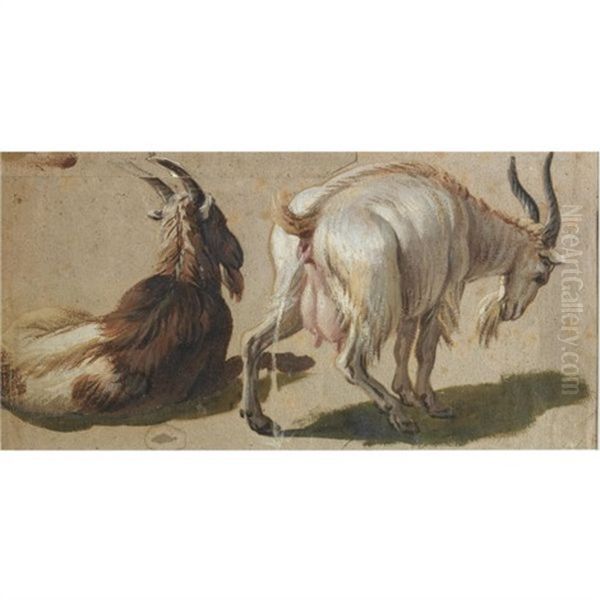 Two Goats (study) - view 1