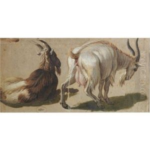 Two Goats (study) by Alexandre-Francois Desportes