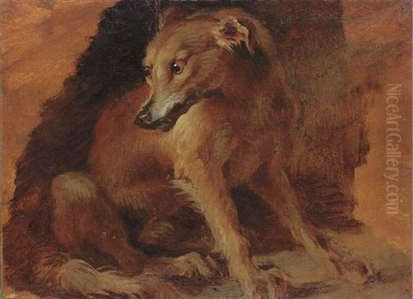 Study Of A Young Fox - view 1