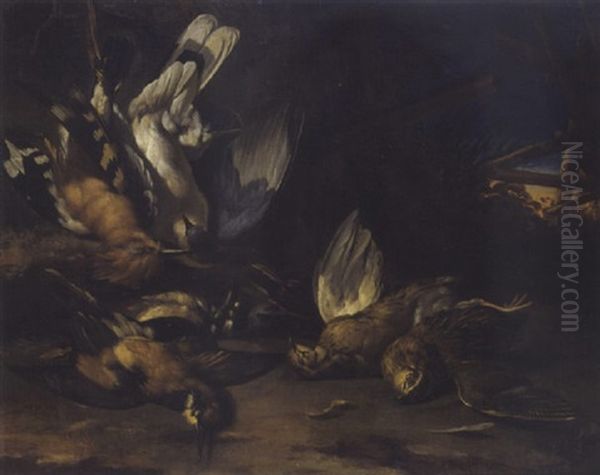 Oiseaux Sur Fond De Paysage - view 1