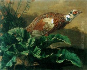 A Pheasant And A Partridge In A Landscape