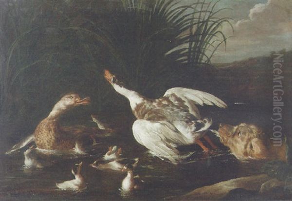 A Hunting Dog Chasing Waterfowl - view 1