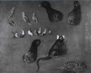 Etude D'oiseaux, De Faisans Et D'animaux Exotiques by Alexandre-Francois Desportes