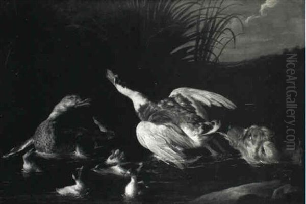 A Hunting Dog Pursuing Water Fowl In A Stream - view 1