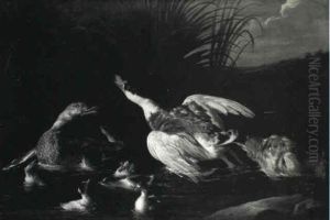 A Hunting Dog Pursuing Water Fowl In A Stream
