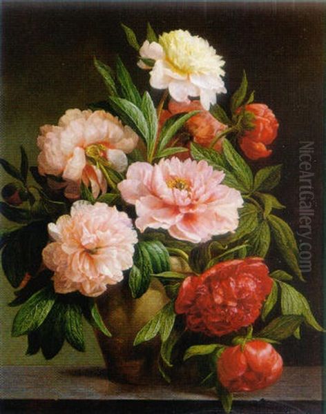 Still Life Of Peonies - view 1