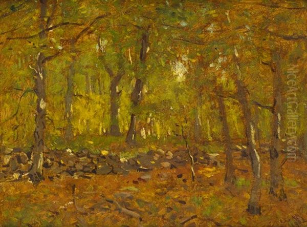 Wooded Landscape (grassy Hill, Connecticut) - view 1