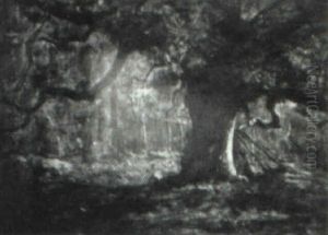 Oak Tree In A Forest