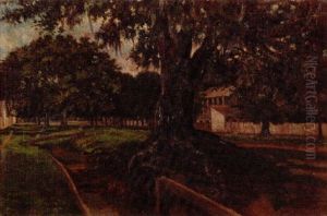 Oak Lined Mandeville Street